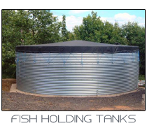 fish holding tank link